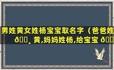 男姓黄女姓杨宝宝取名字（爸爸姓 🌸 黄,妈妈姓杨,给宝宝 🌵 起个好听的名字）